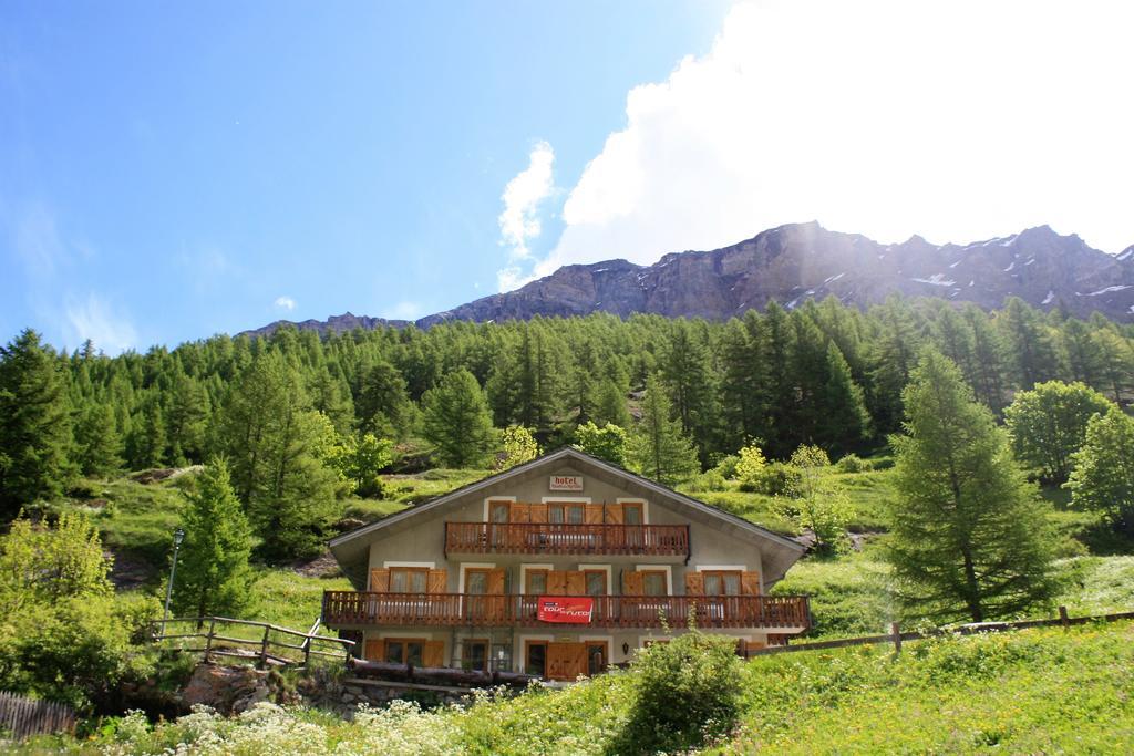 Maison Des Myrtilles Hotel Valgrisenche Ngoại thất bức ảnh