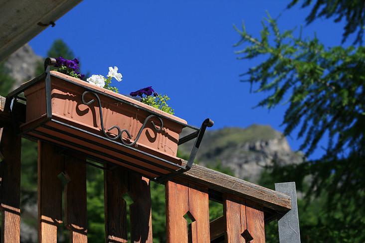 Maison Des Myrtilles Hotel Valgrisenche Ngoại thất bức ảnh